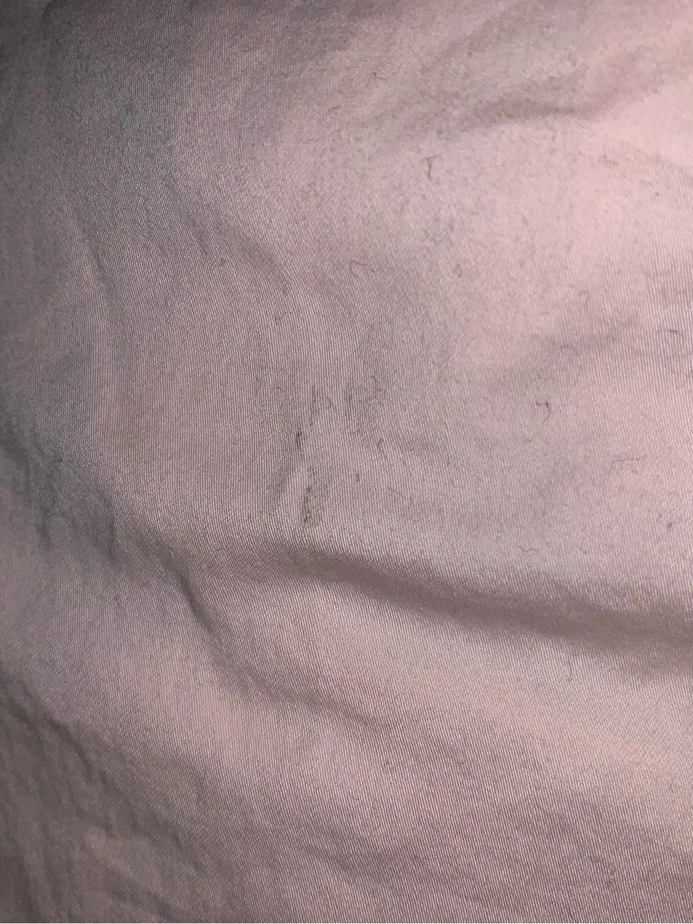 Magnolia Pale Pink Blush Organic Cotton Sheet